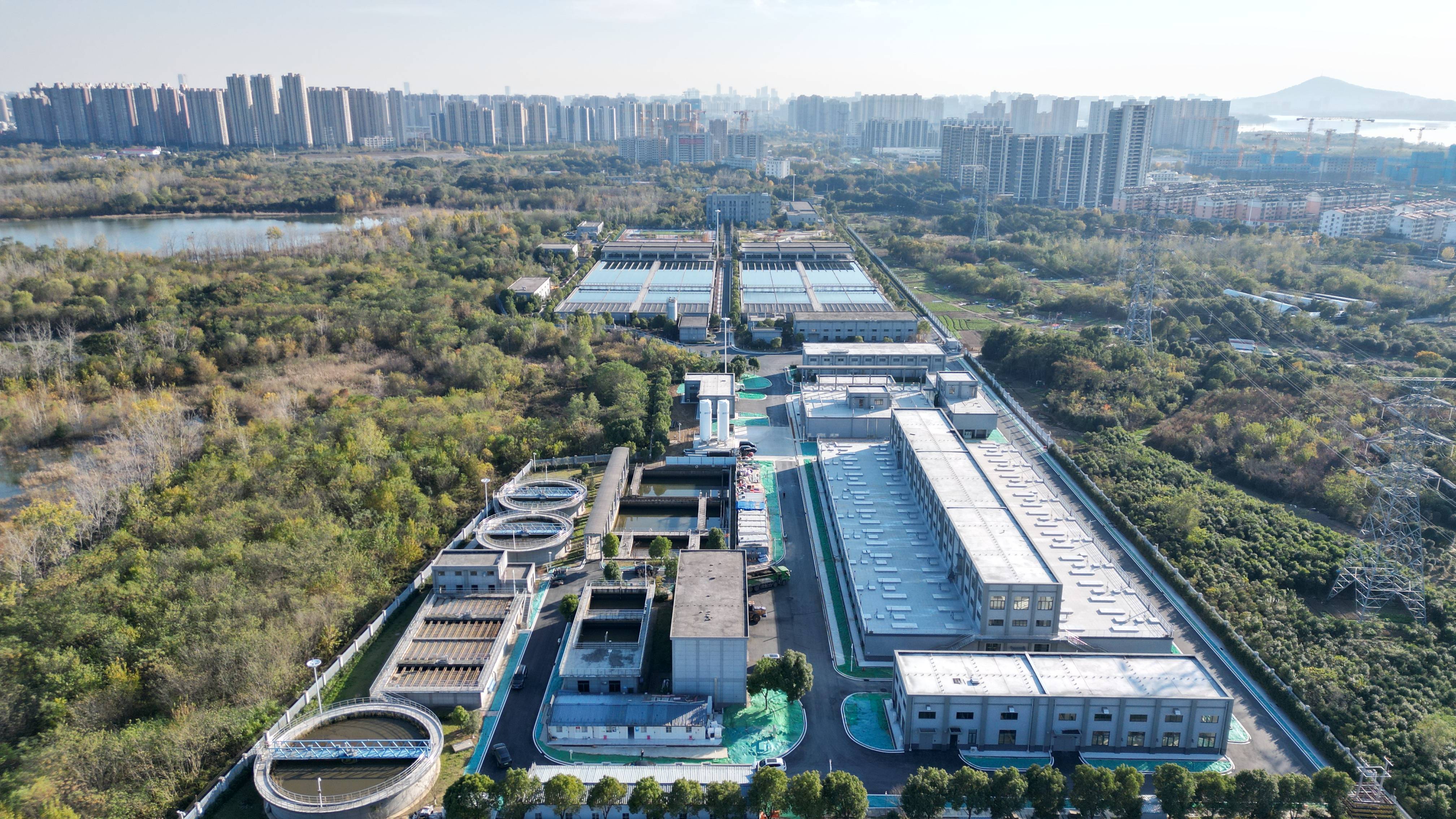 石家庄市合肥专业企业价值增长(合肥市重点企业产业目录)