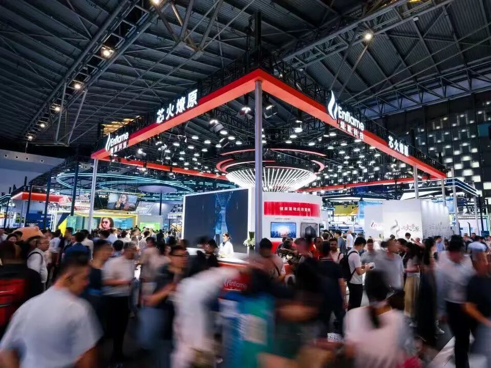 石家庄市成熟期IPO辅导(成熟期的上市公司有哪些)