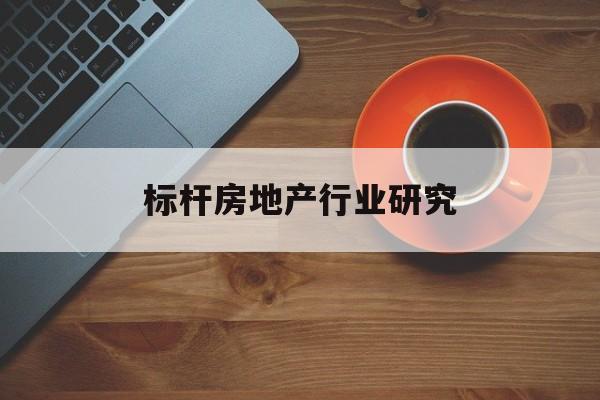 石家庄市标杆房地产行业研究(房地产领域的标杆人物)