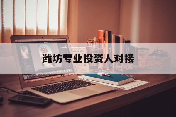 石家庄市潍坊专业投资人对接(潍坊专业投资人对接中心)