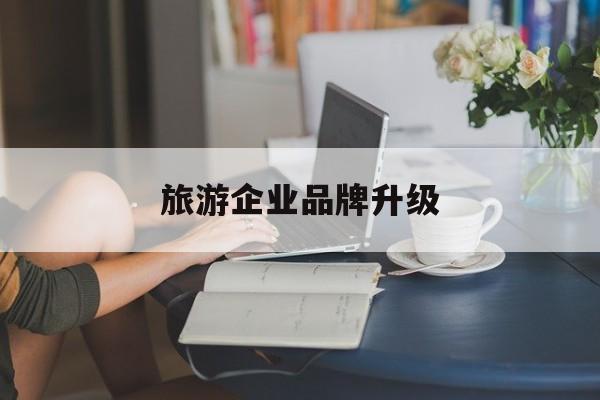 石家庄市旅游企业品牌升级(旅游企业品牌升级措施)