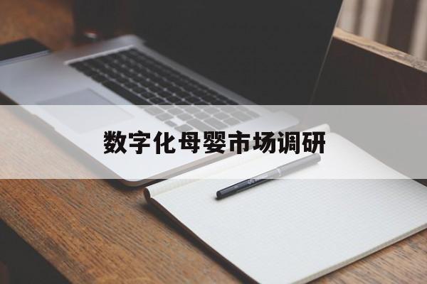 石家庄市数字化母婴市场调研(数字化母婴市场调研报告)